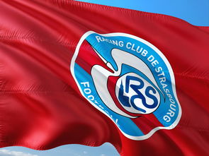 星空体育新闻-帕尔梅拉斯严阵以待，防守端力求零封对手