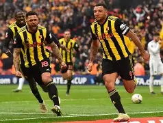 沃特福德是新晋黑马,为什么会一路走高 沃特福德是新晋黑马,为什么会一路走高